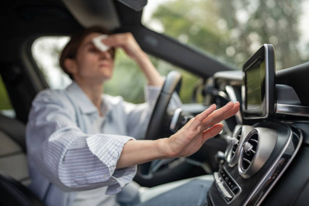 Best Air Conditioning Cleaning in Lake Alfred, FL